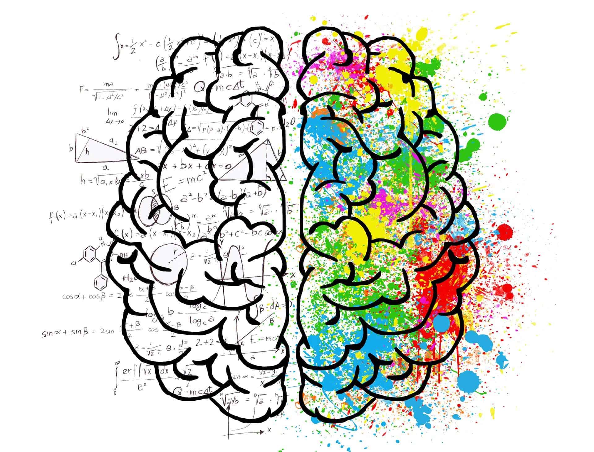 brain-2062057_1920 brain-2062057_1920